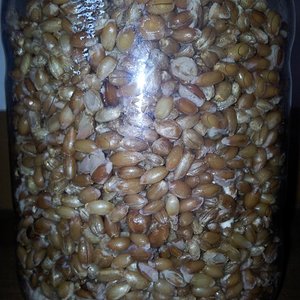 2013-10-30 12.15.41.jpg