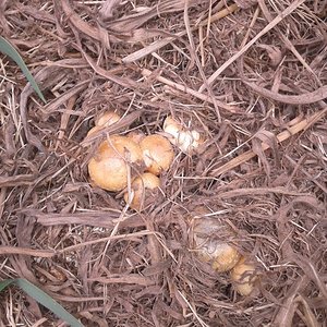 2013-10-31 14.21.46.jpg