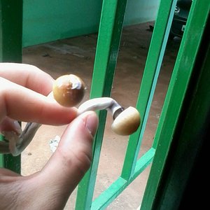 2013-12-17 11.49.10.jpg