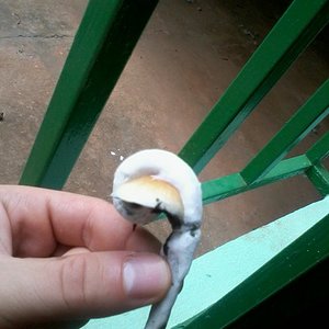 2013-12-17 11.49.30.jpg