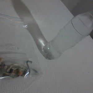 2013-12-18 08.56.42.jpg