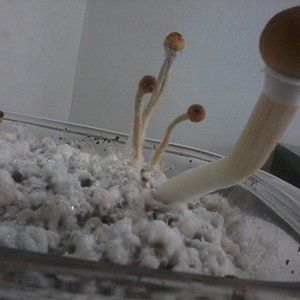 2013-12-21 12.29.48.jpg