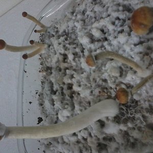 2013-12-21 12.30.02.jpg