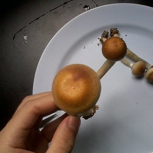 2014-01-28 17.55.02.jpg