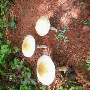 2014-03-05 13.14.26.jpg