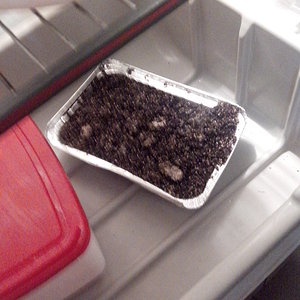 2014-03-13 02.06.03.jpg