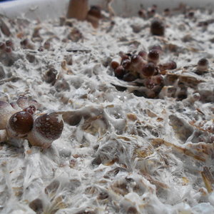 2014-03-28 17.39.43.jpg