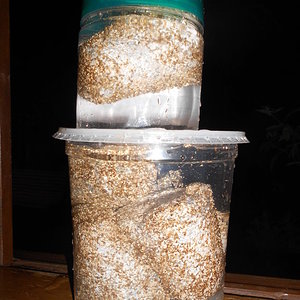 2014-03-26 22.42.08.jpg