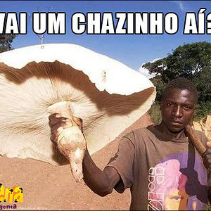 Chazinhoa.jpg