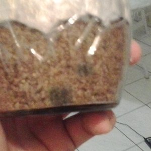 2014-08-31 01.16.10.jpg