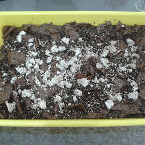 2014-03-07 13.16.45.jpg