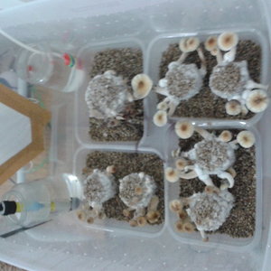 2014-04-17 20.08.00.jpg