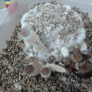 2014-04-17 20.08.30.jpg