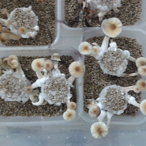 2014-04-17 20.09.14.jpg