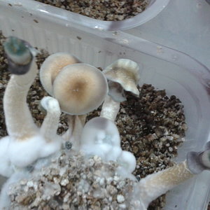 2014-04-17 20.18.14.jpg