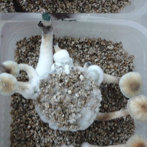 2014-04-17 20.19.03.jpg