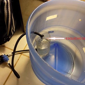 terrario update 2.jpg