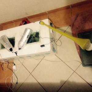 11418669_946098408744811_1006392024_n (1).jpg