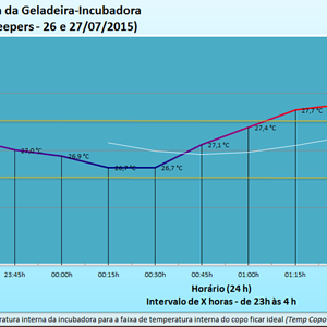 Gráfico 11.png