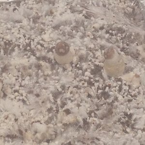 Foto 14-09-15 12 01 29.jpg