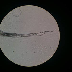 Foto 01-10-15 21 46 48.jpg