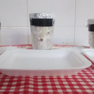 copos antes de aniversariar 2.jpg