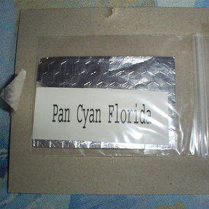 PAN CYAN FLORIDA PRINT 26-08-06.JPG