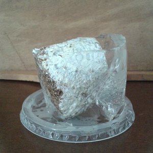 micélio congelado 1.jpg