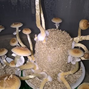 2016-04-26 08.43.08.jpg