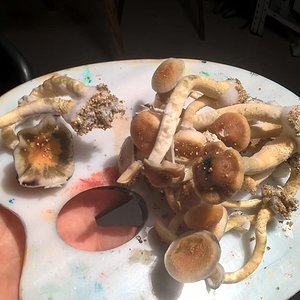 2016-04-29 14.02.55.jpg