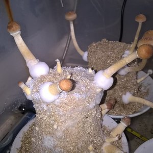 2016-05-10 08.56.36.jpg