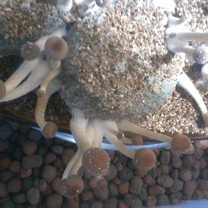 2016-05-21 22.38.42.jpg