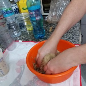 02b - misturando água com vermiculita.jpg