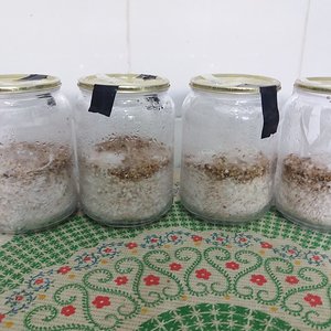 05 - fim da colonização Ab.jpg