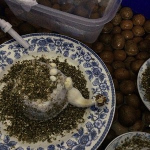 Foto 08-08-16 06 26 26.jpg