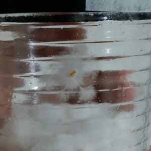 2016-10-03 22.27.54.jpg