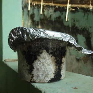 DSC07164 - Cópia.JPG