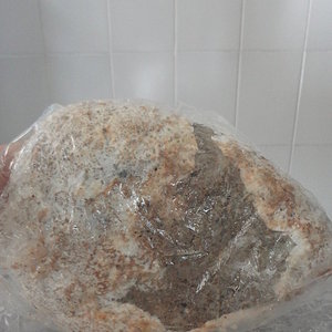 DSC08077 - Cópia.JPG