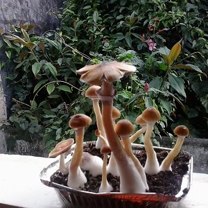 2013-11-13 08.18.48.jpg