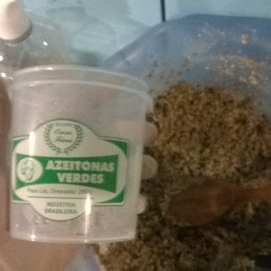 POTE DE AZEITONA COMPLEMENTAR.jpg