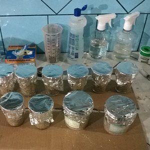 COPOS PRONTOS PARAESTERILIZAÇÃO.jpg