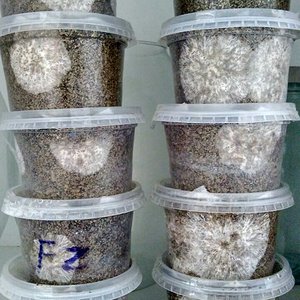 WhatsApp Image 2017-04-28 at 13.54.58(2).jpeg