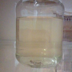 01a - na incubadora.jpg