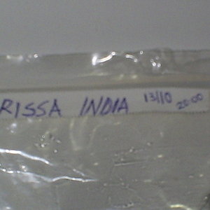 Orissa india 13-10-06.JPG