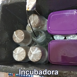 IMG_20180813_115417_incubadora+potes-sorvete.jpg