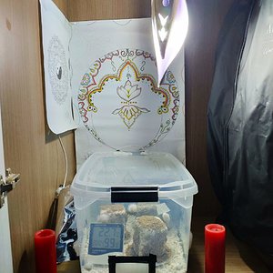 WhatsApp Image 2019-06-18 at 20.08.27.jpeg