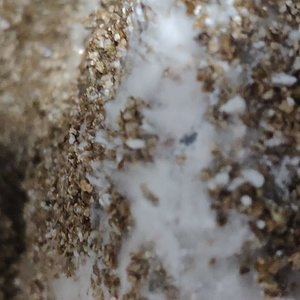 WhatsApp Image 2019-06-21 at 13.38.46 (1).jpeg