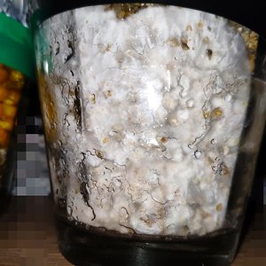 WhatsApp Image 2019-08-24 at 22.55.50.jpeg