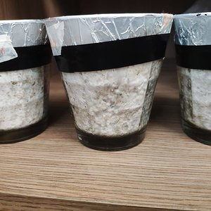 WhatsApp Image 2019-08-30 at 15.09.35.jpeg