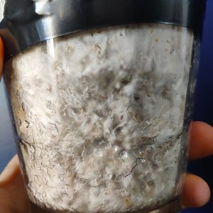 WhatsApp Image 2019-08-30 at 15.10.04.jpeg